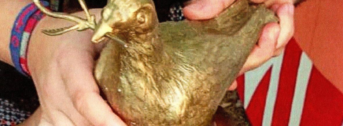 The Golden Dove of Peace Award