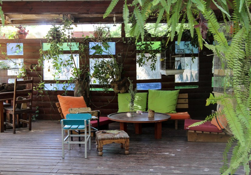 Lounge in the Petting Zoo