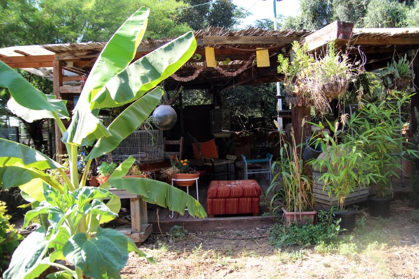 Lounge area at the Petting Zoo