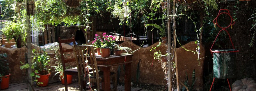 Sitting area at the Petting Zoo