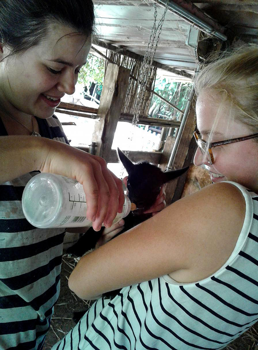 German volunteers feeding newborn goat