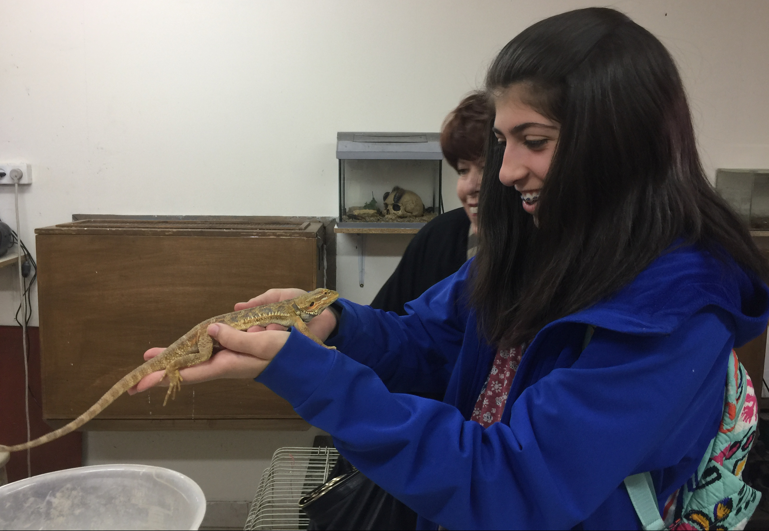 Cameron Fields at the Neve Hanna Petting Zoo.