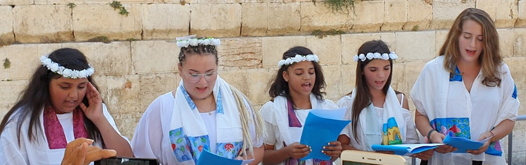Bat Mitzvah Experience Shared