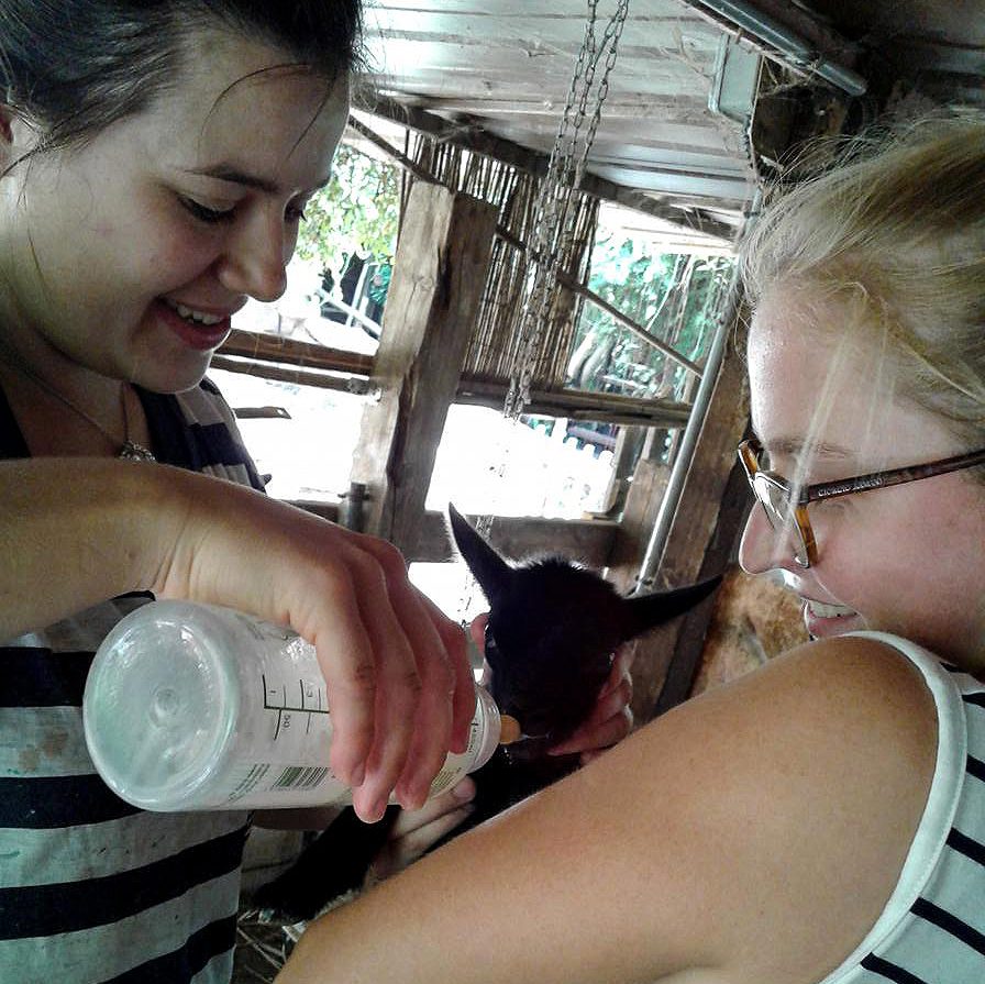 German volunteers feeding newborn goat